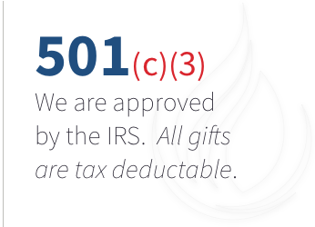 501c3